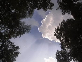 3 夏の雲.jpg
